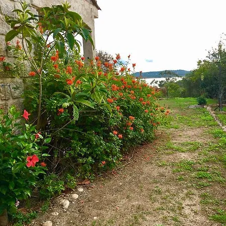 Marina Di Fiori Pezza Cardo * Porto-Vecchio (Corsica)